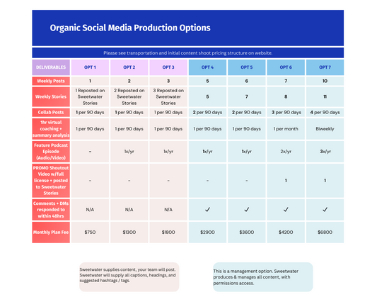 Social Media Management Pricing Tier