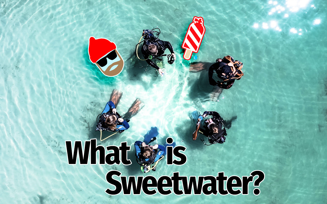 Load video: Explainer video of what Sweetwater does