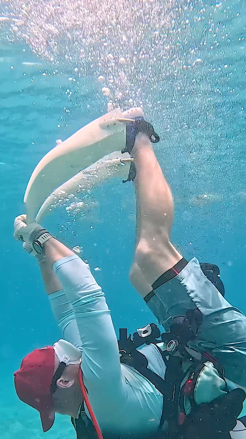 Crosskix Tetra scuba promo video