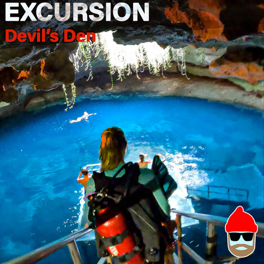 day trips to devils den for non certified divers