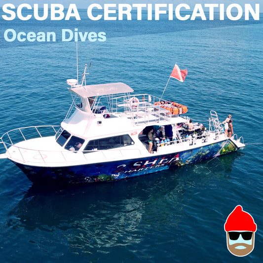 scuba certification from a dive boat
